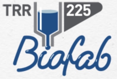 SFB/TRR 225